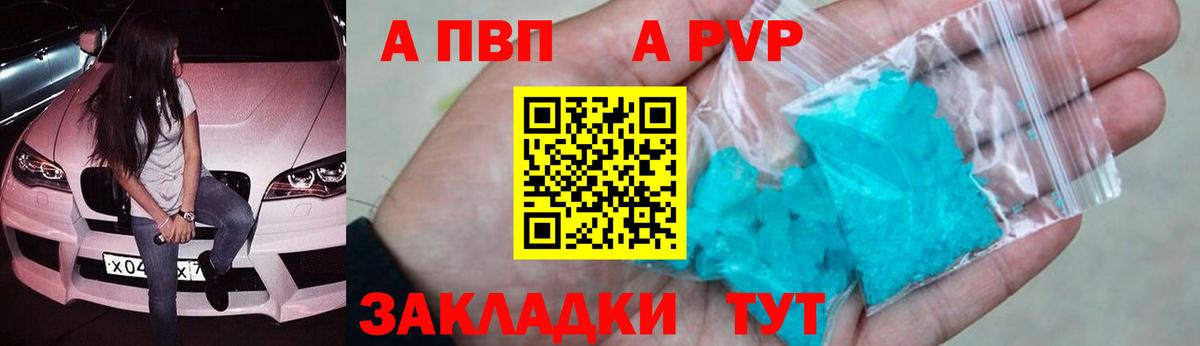 A-PVP СК КРИС Сыктывкар