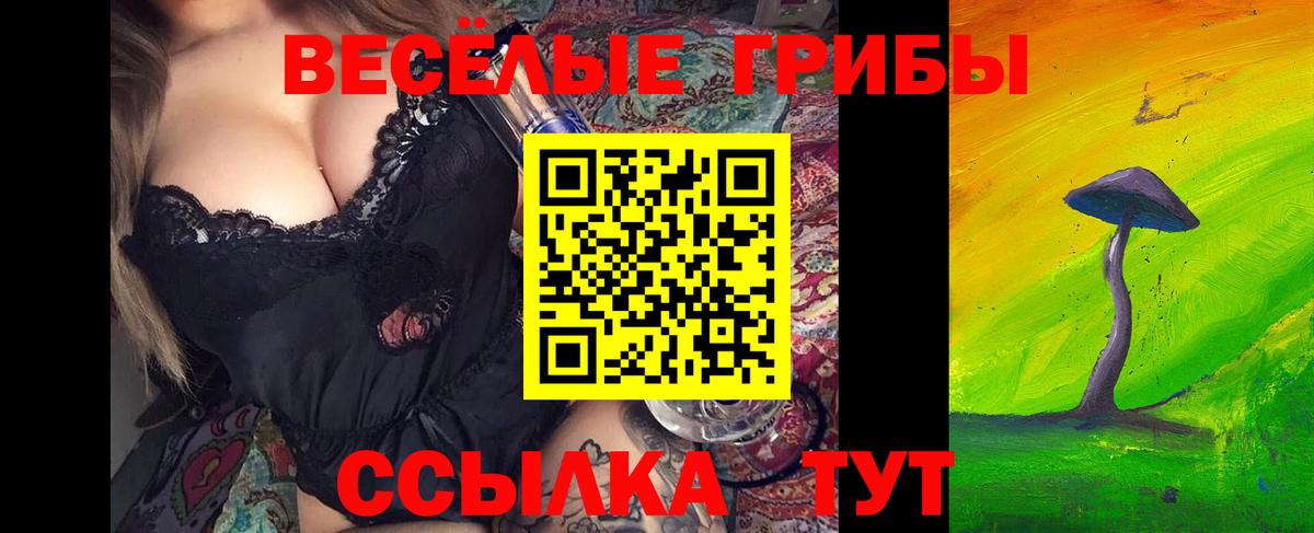 где купить наркоту  Вход с VPN  Псилоцибиновые грибы Magic Shrooms  Сыктывкар  Псилоцибиновые грибы Cubensis 